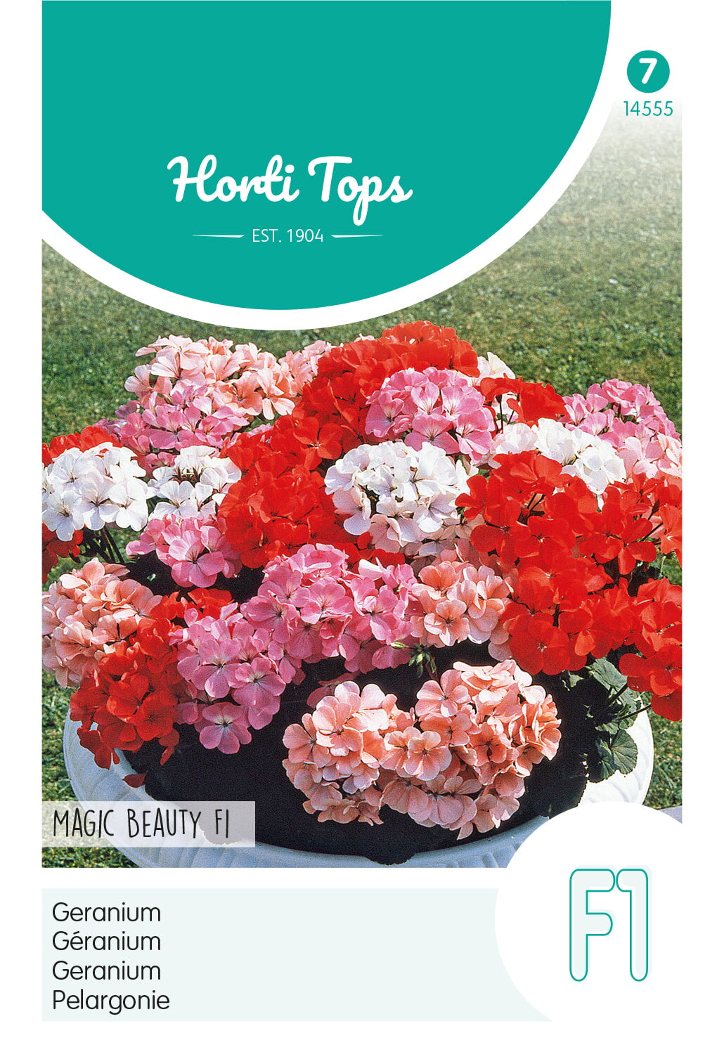 Horti Tops Pelargonie Magic Beauty Mischung