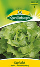 Quedlinburger Kopfsalat Mona