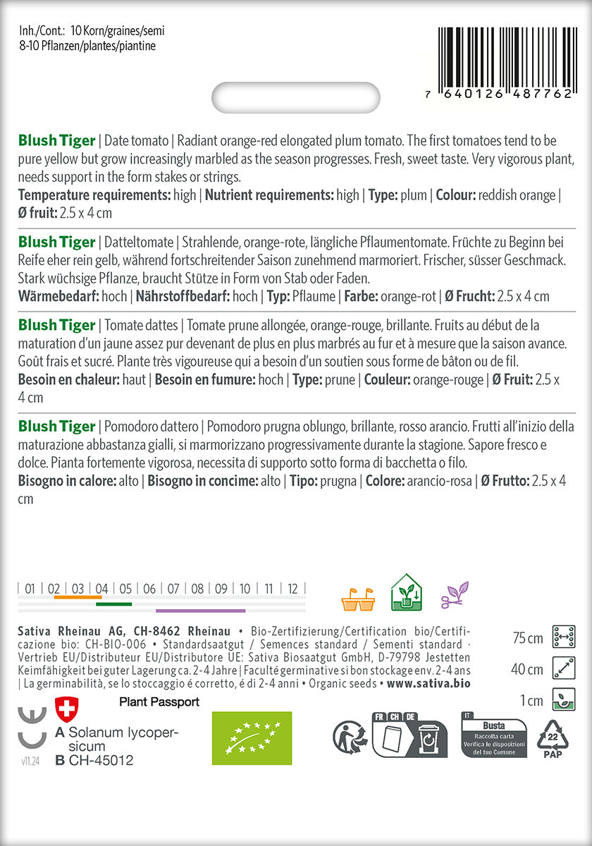 Sativa Datteltomate Blush Tiger