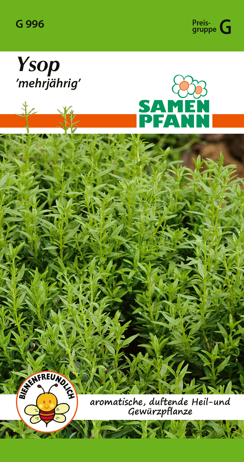 Samen Pfann mehrjährig Ysop