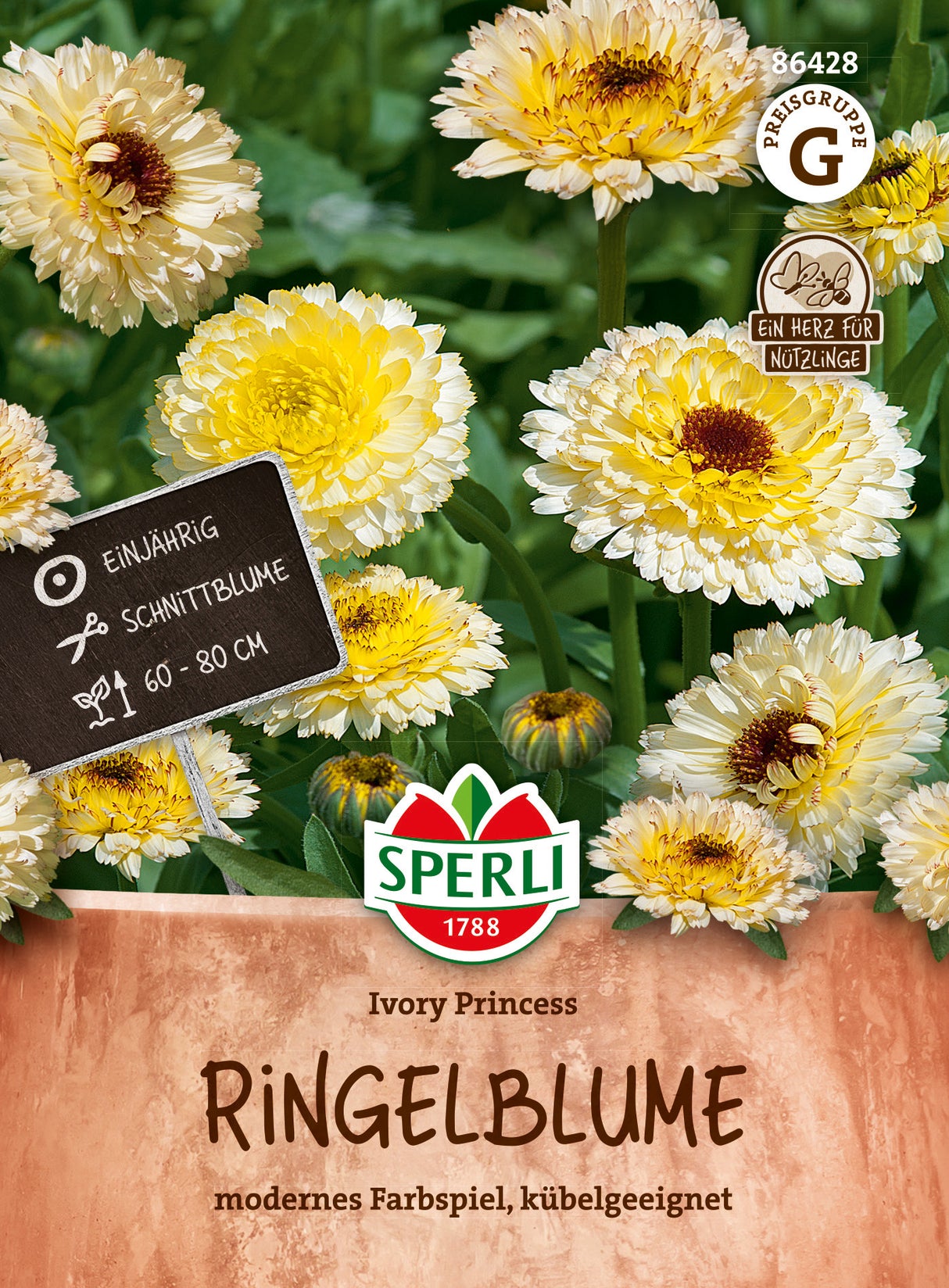 SPERLI Ringelblume Ivory Princess