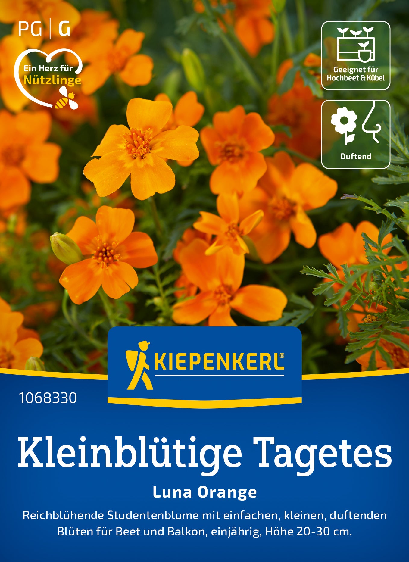 Kiepenkerl Studentenblumen Luna Orange
