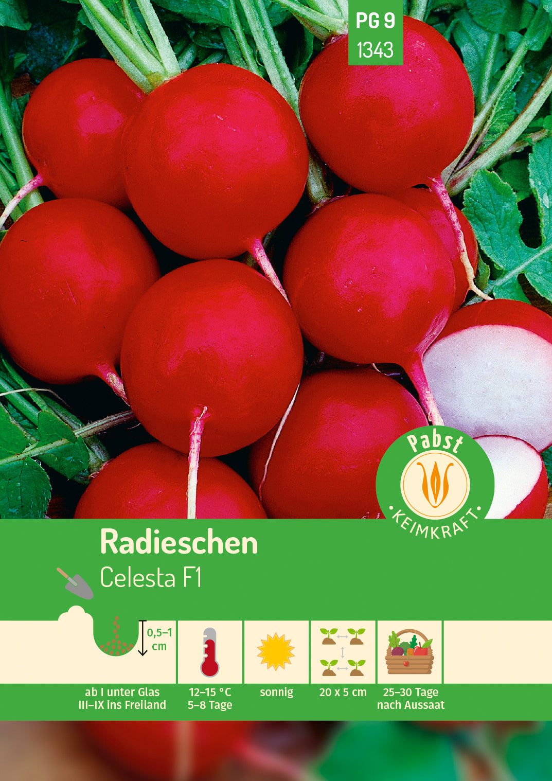 Pabst Keimkraft Radieschen Celesta