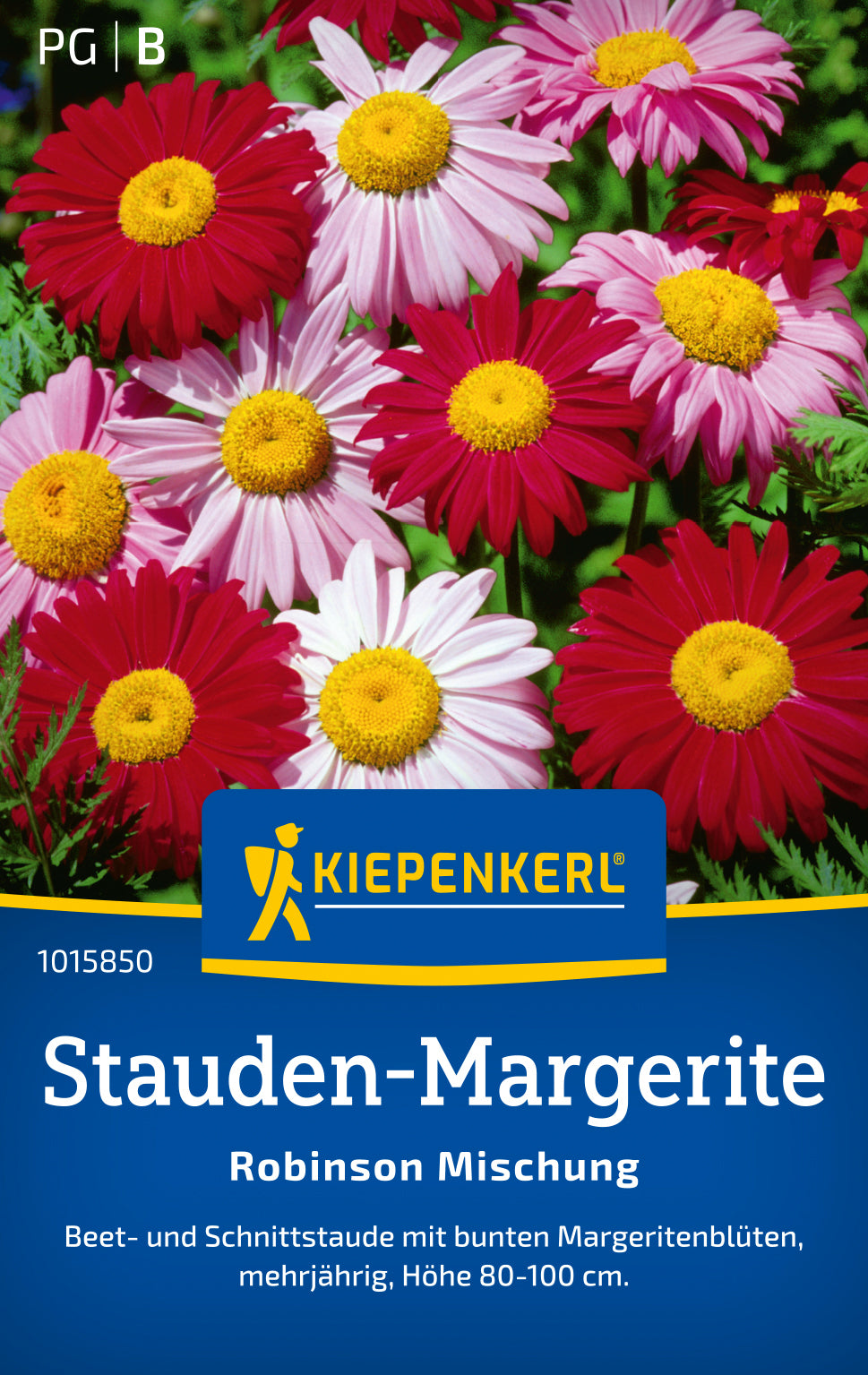 Kiepenkerl Margeriten Robinson Mischung