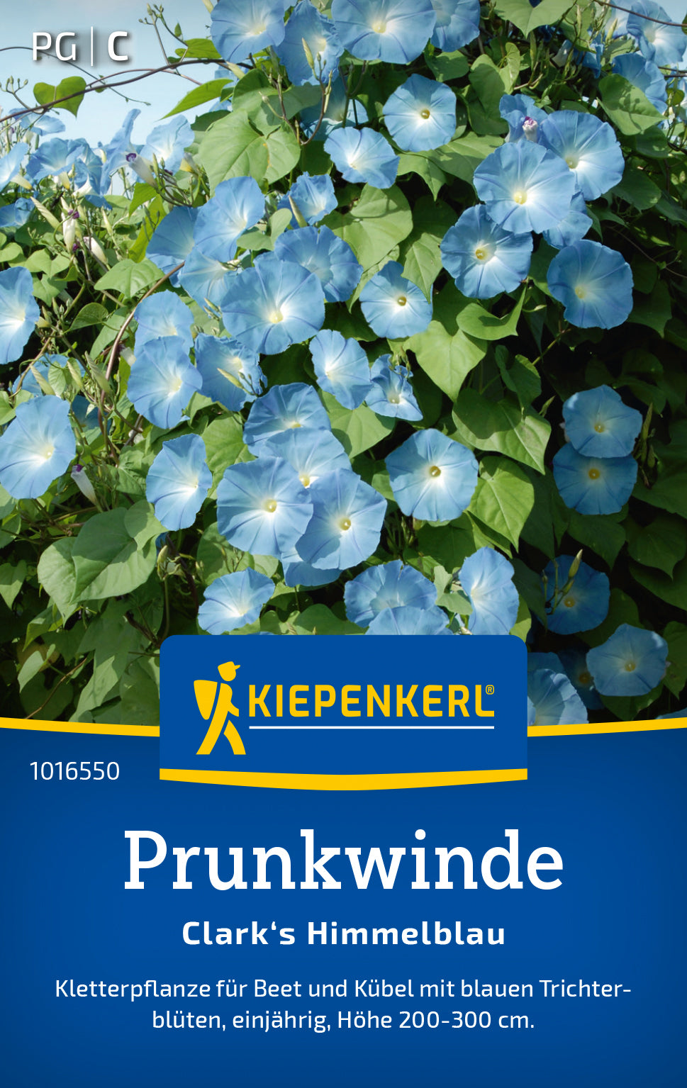 Kiepenkerl Prunkwinden Clark's Himmelblau