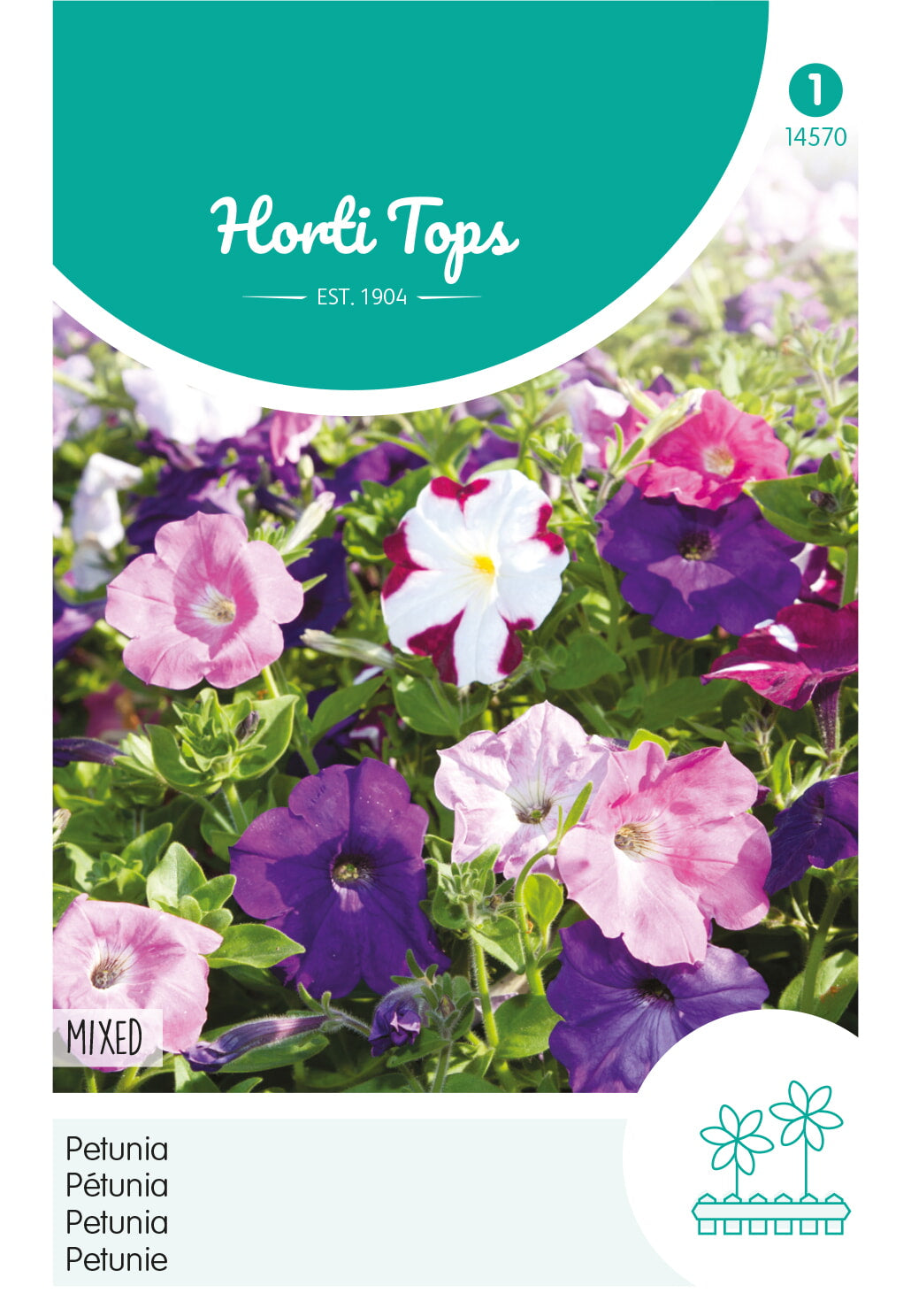Horti Tops Petunie Nana Compacta Mischung