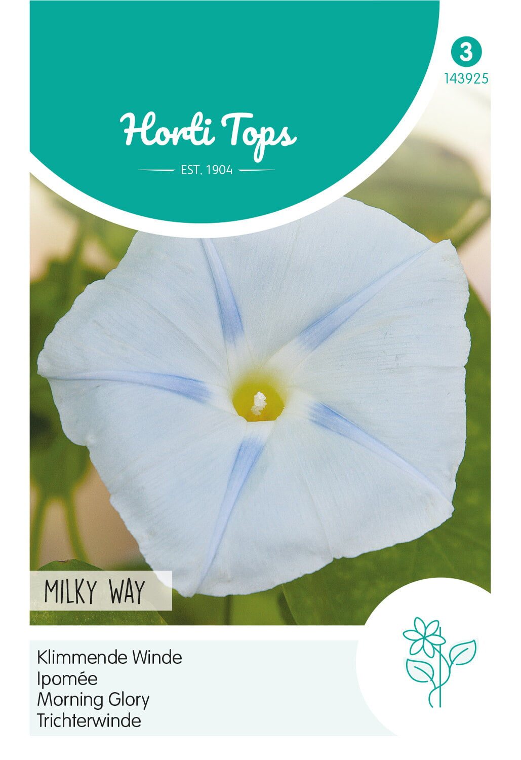 Horti Tops Dreifarbige Winde Tricolor Milky Way