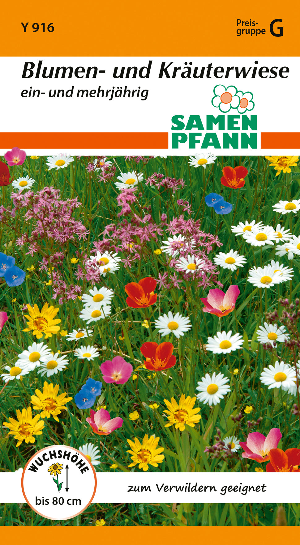 Samen Pfann Blumen- und Kräuterwiese Ein- und mehrjährig