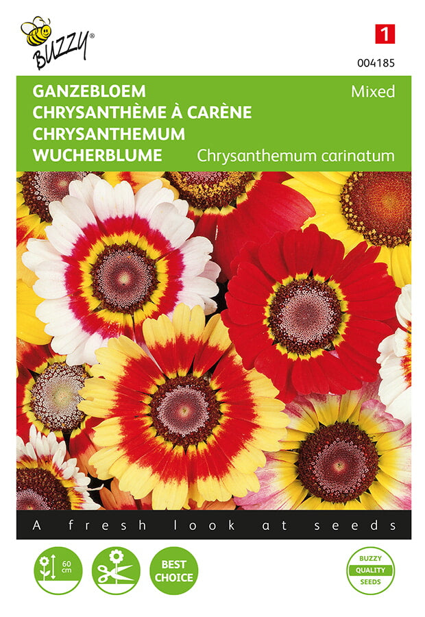 Buzzy Seeds Wucherblume Mischung