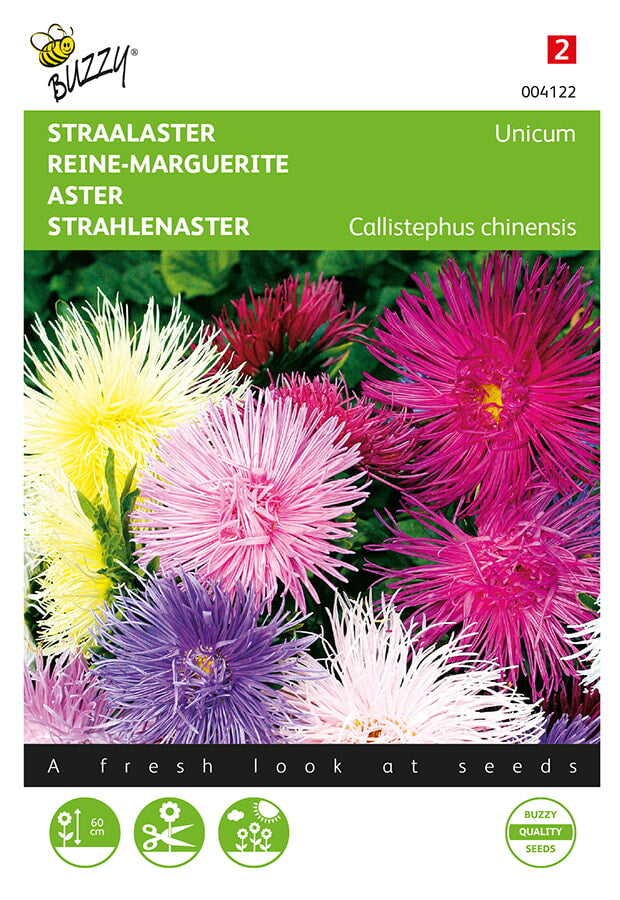 Buzzy Seeds Strahlenaster Unicum Mischung