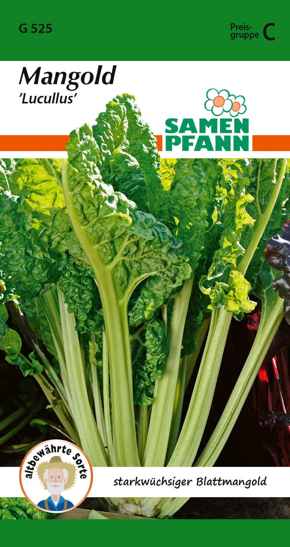 Samen Pfann Mangold Lucullus