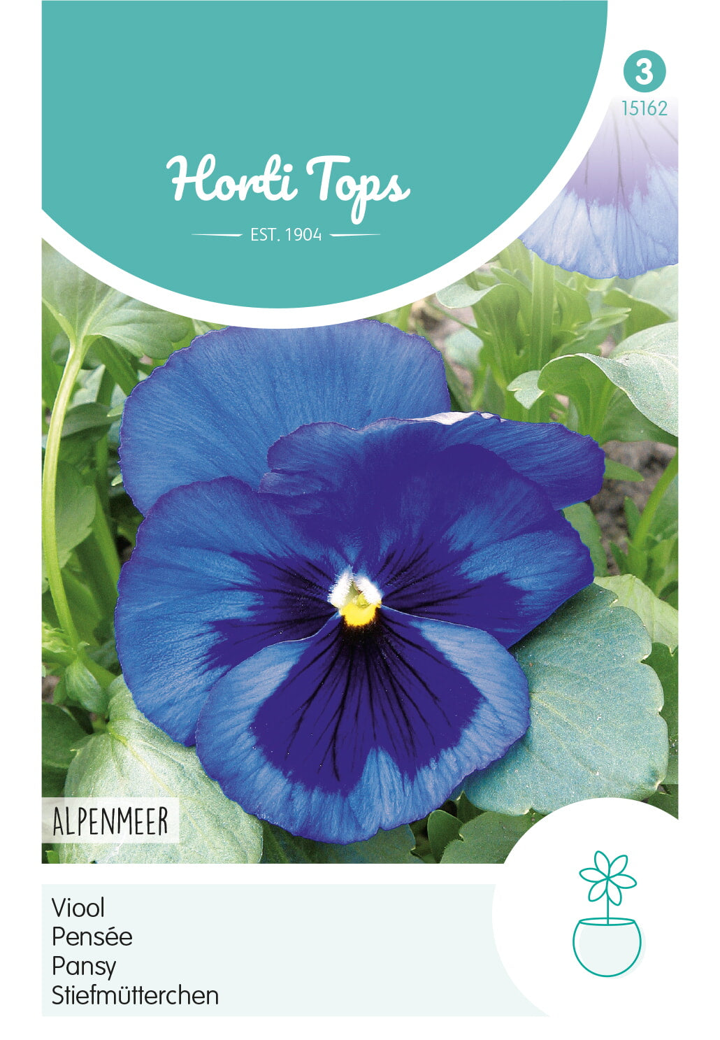 Horti Tops Garten-Stiefmütterchen Schweizer Riesen Alpensee