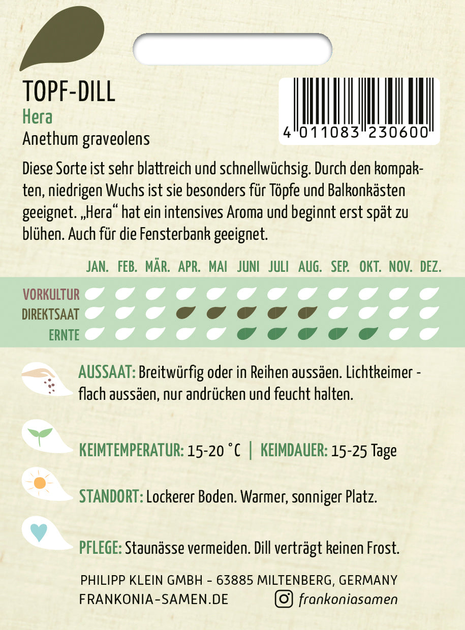 Frankonia Samen Dill Hera Topf