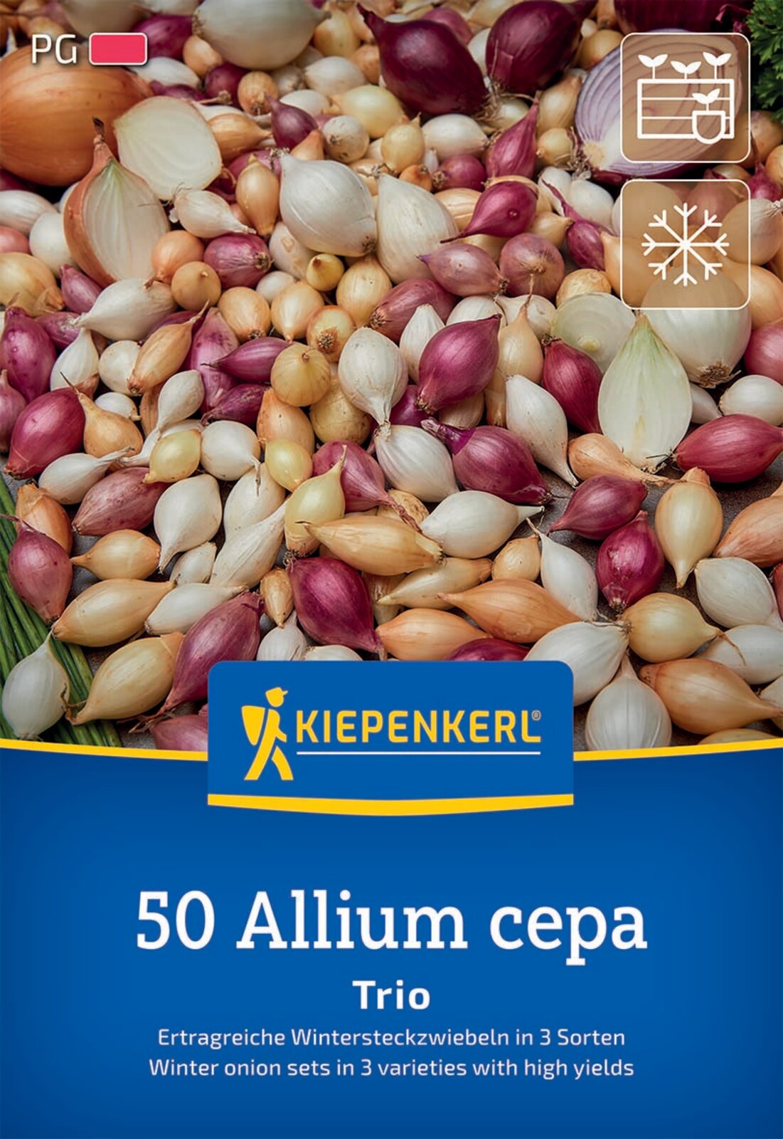 Kiepenkerl Wintersteckzwiebel-Trio Mischung 50 Stück