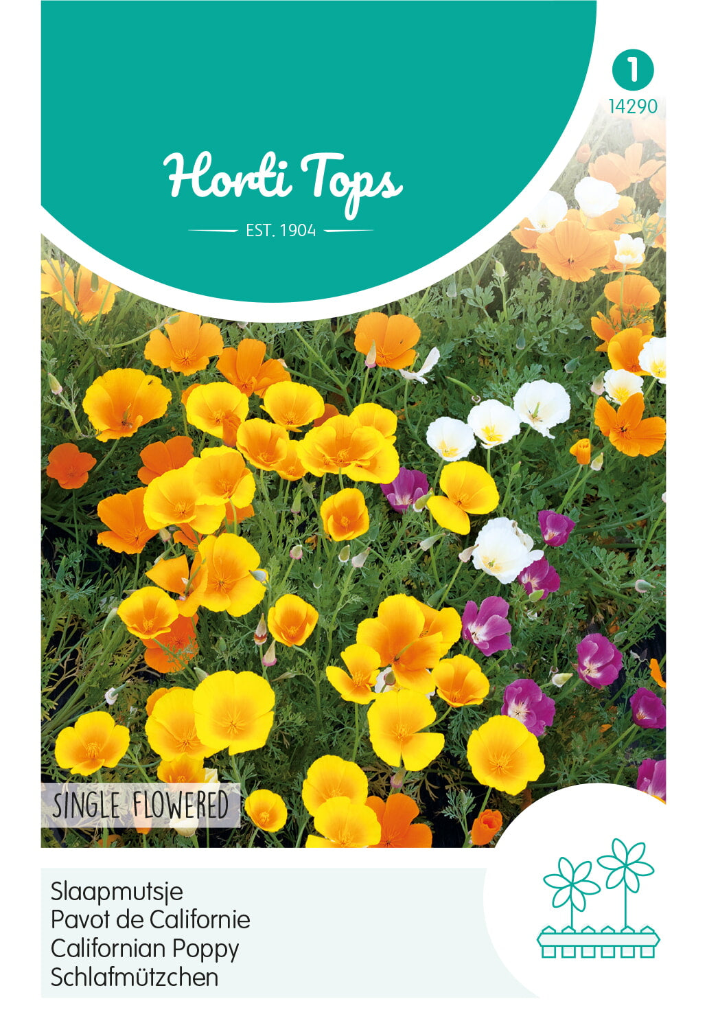 Horti Tops Kalifornischer Mohn Californica Einfache Mischung