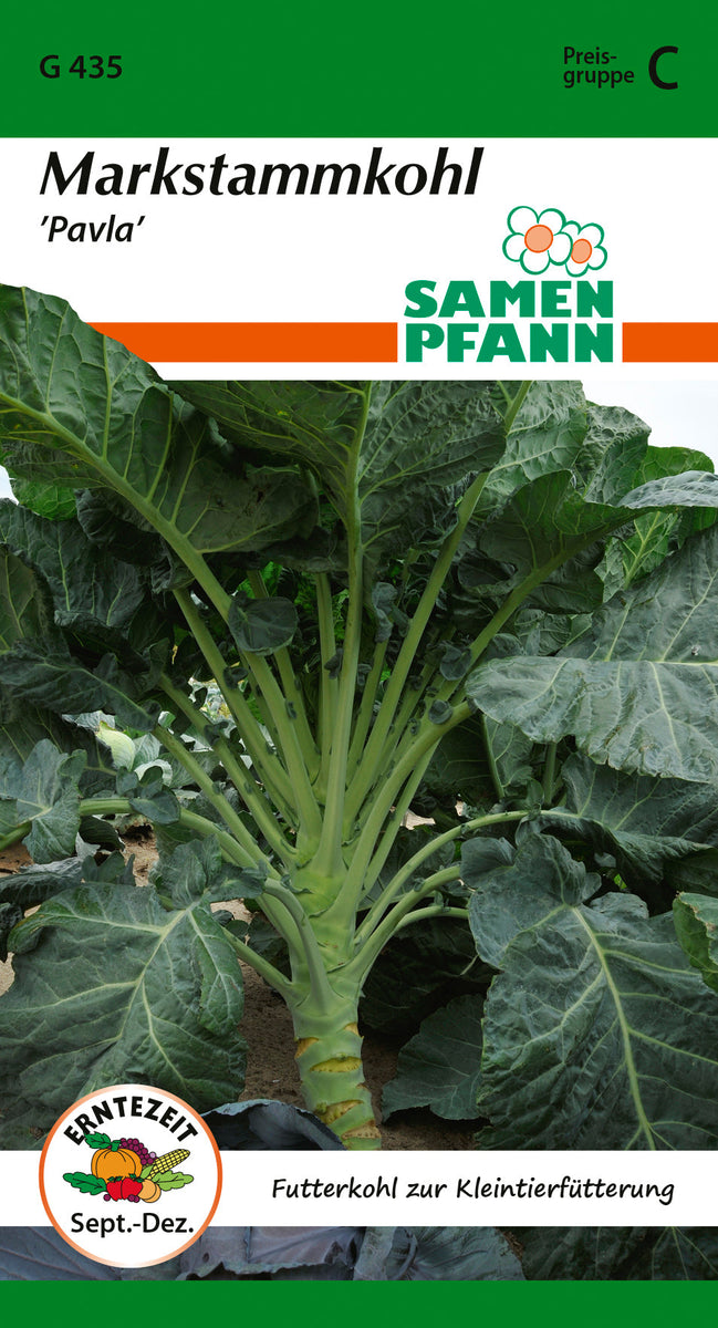 Samen Pfann | Markstammkohl Pavla | 200 Pflanzen | MHD: 01/2028