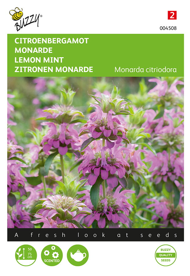Buzzy Seeds Zitronen Monarde