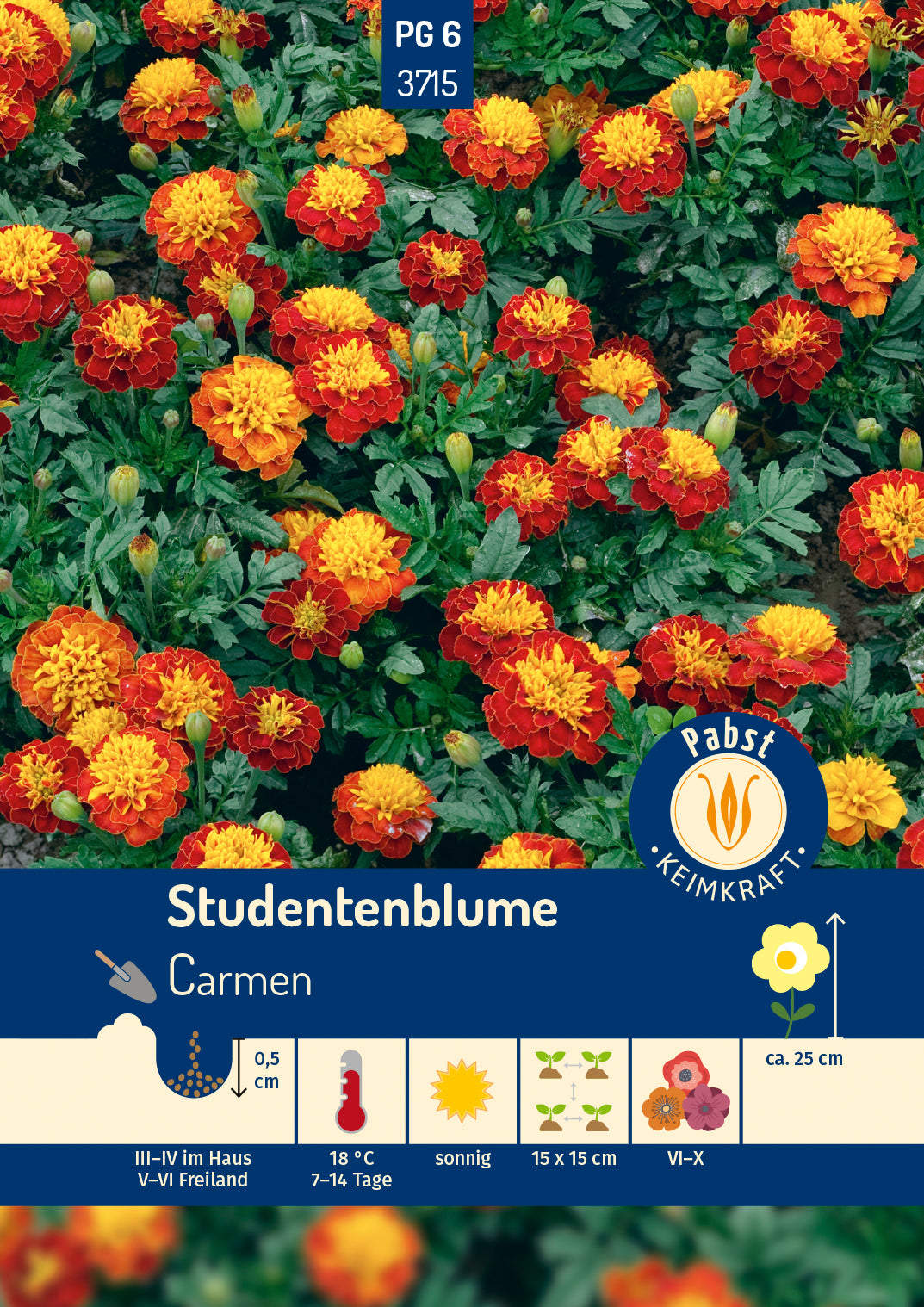 Pabst Keimkraft Studentenblumen Carmen