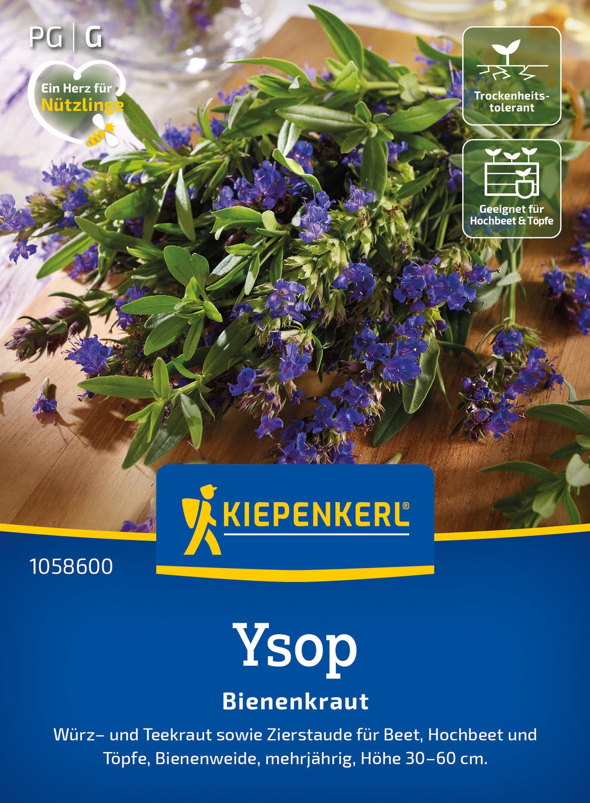 Kiepenkerl Ysop Bienenkraut