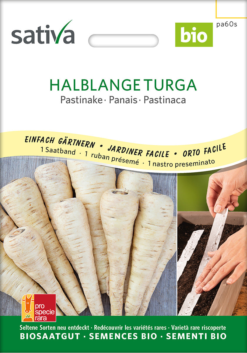 Sativa Pastinake Halblange Turga Saatband