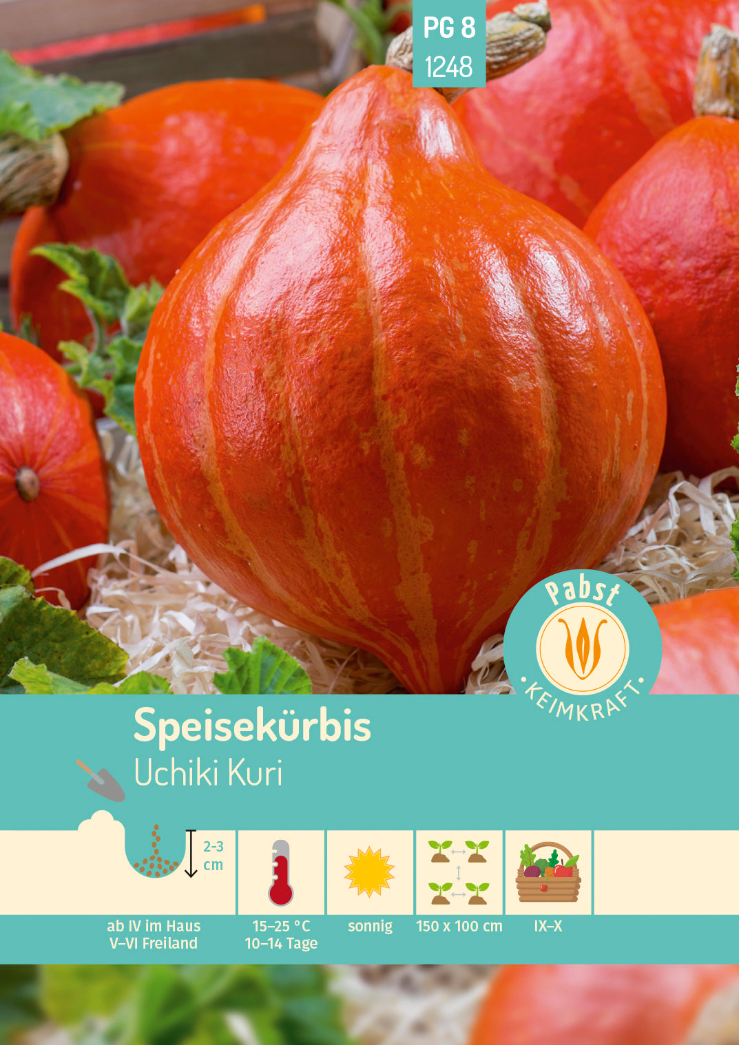 Pabst Keimkraft Hokkaido-Kürbis Uchiki Kuri