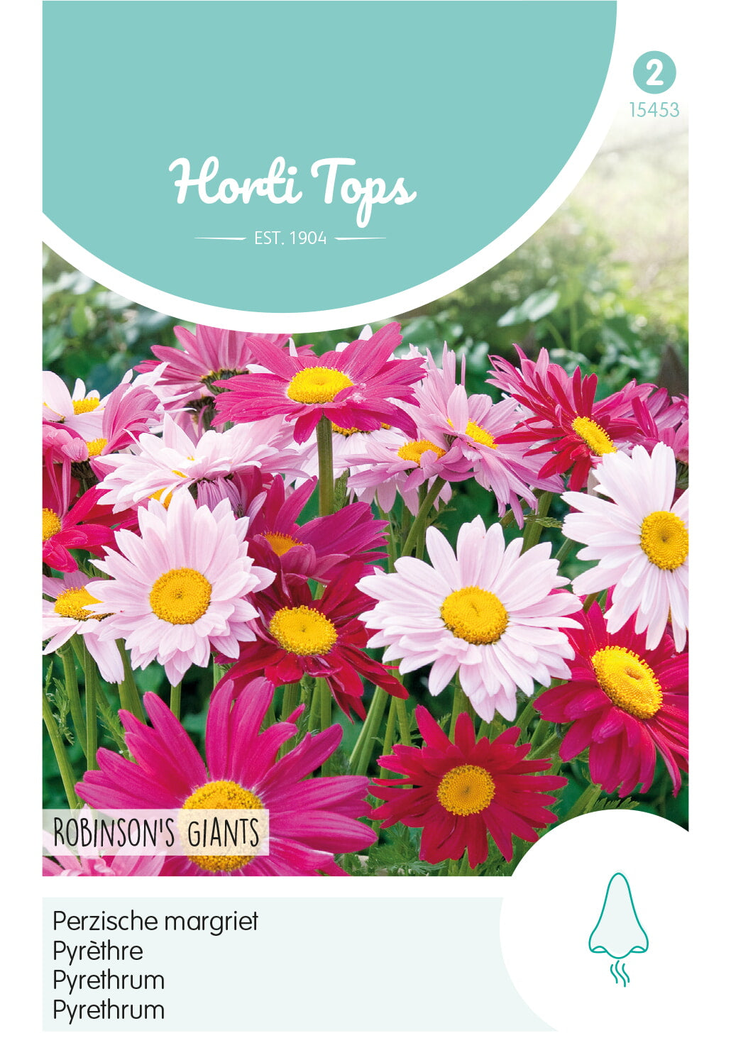 Horti Tops Pyrethrum Robinsons Riesen Mischung