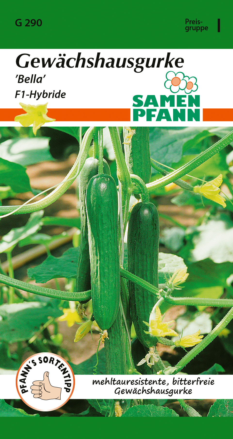 Samen Pfann Gewächshausgurke Bella