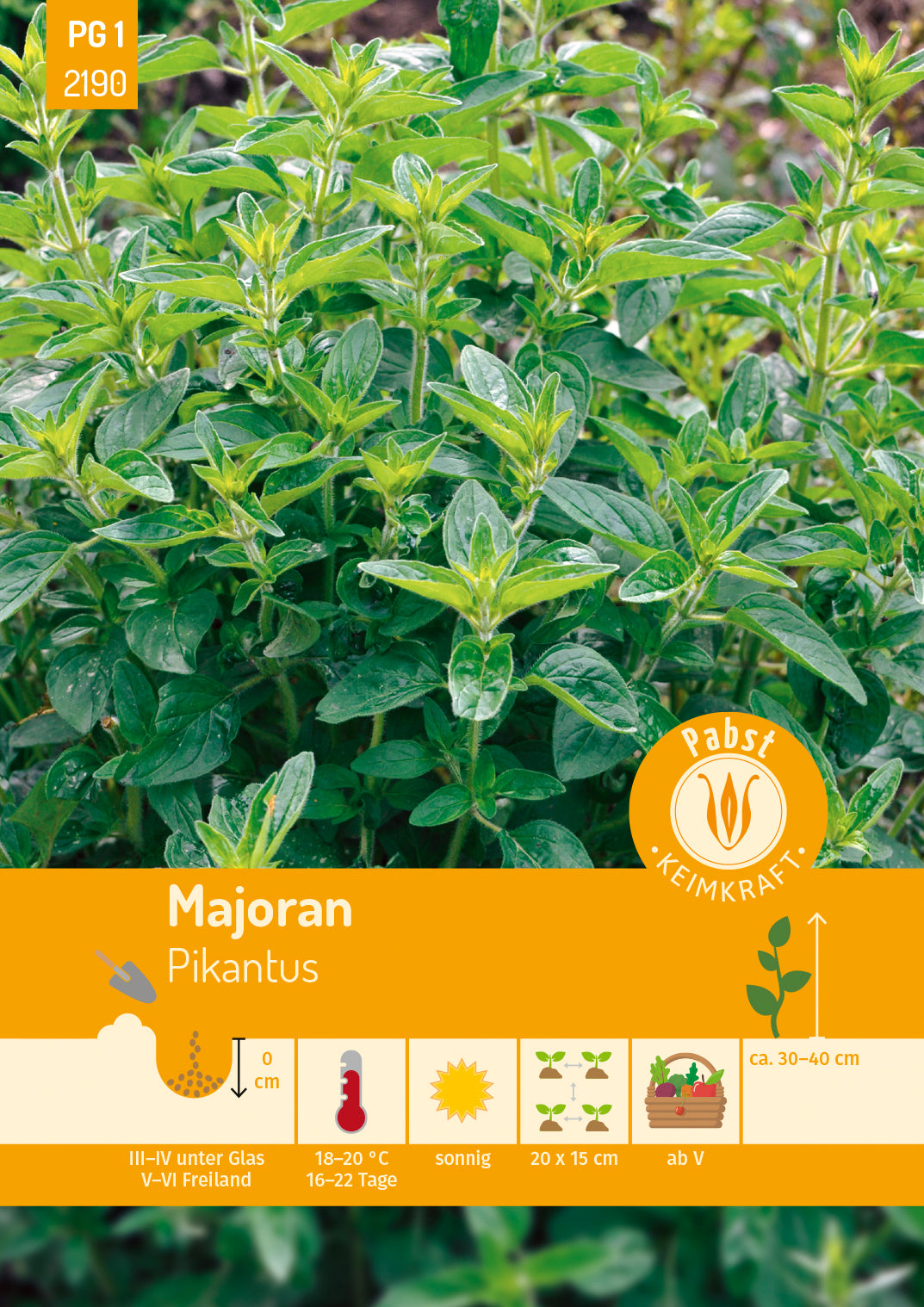 Pabst Keimkraft Majoran Einjähriger