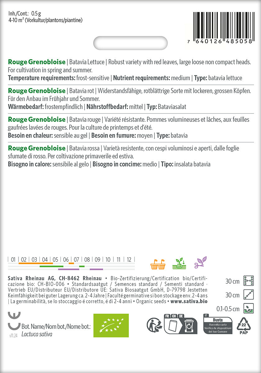Sativa Bataviasalat rot Rouge Grenobloise