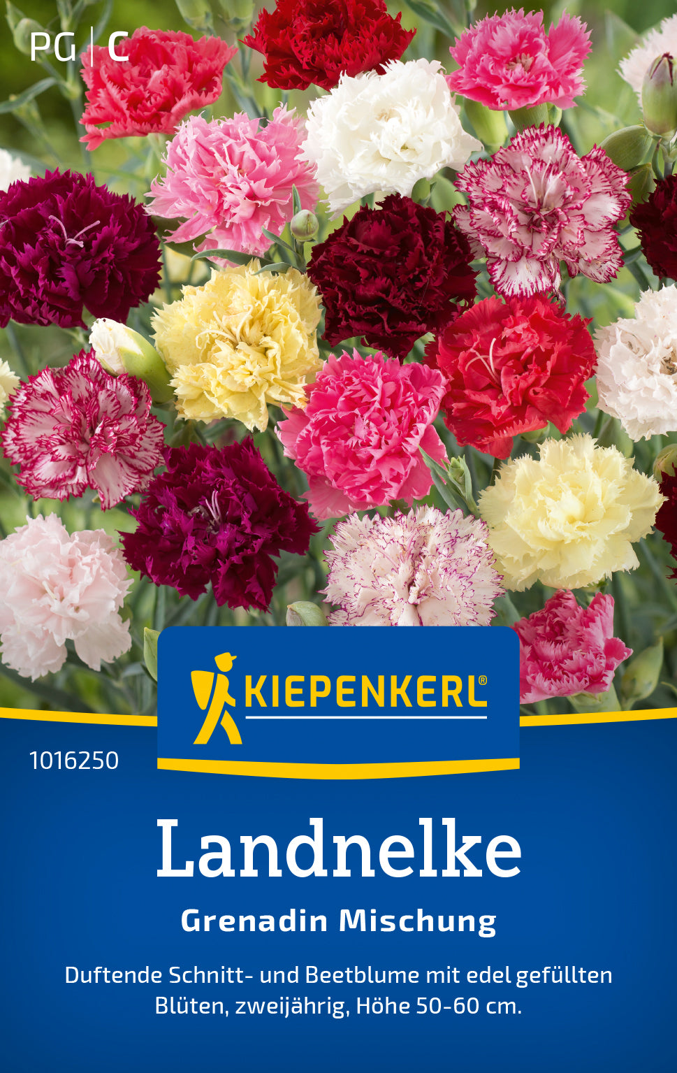 Kiepenkerl Landnelke Grenadin Mischung