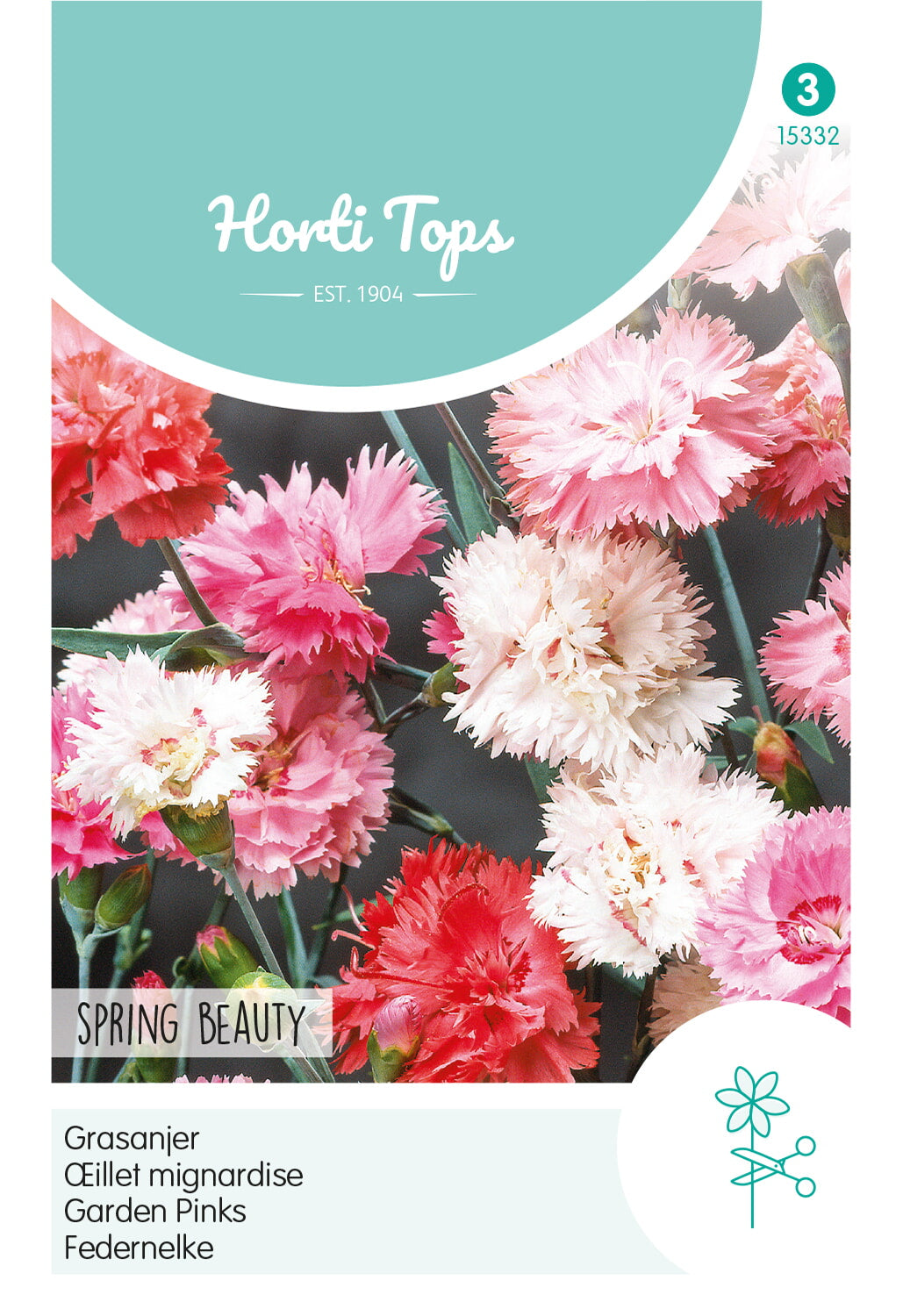 Horti Tops Federnelke Gefüllte