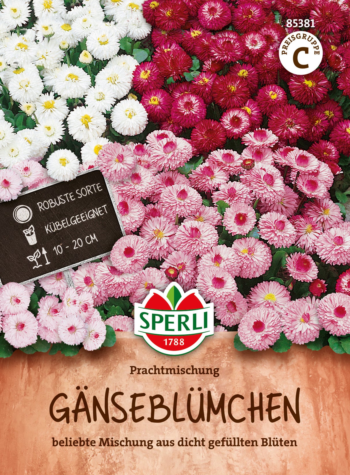 SPERLI Gänseblümchen Prachtmischung