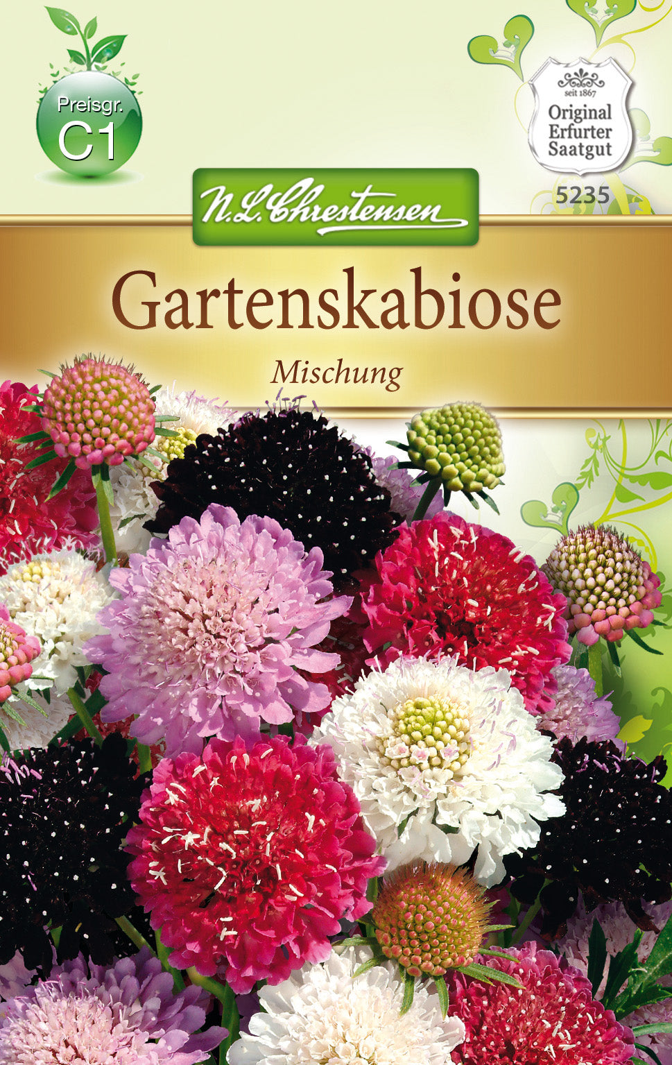 N.L. Chrestensen Gartenskabiose Mischung