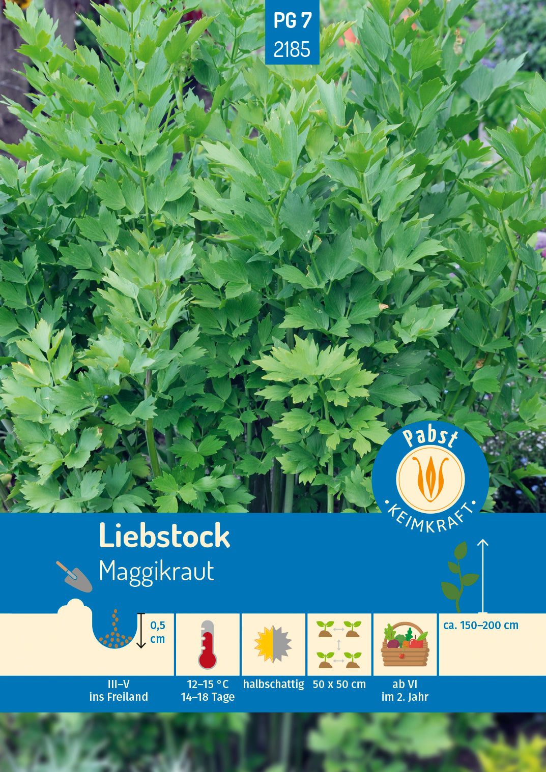 Pabst Keimkraft Liebstöckel Maggikraut