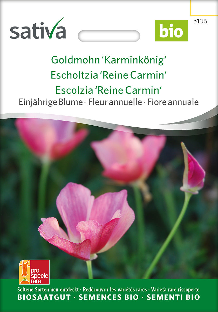 Sativa Goldmohn Karminkönig