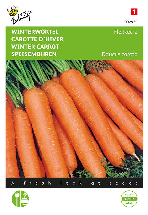 Buzzy Seeds Möhren Rote Riesen 2-3