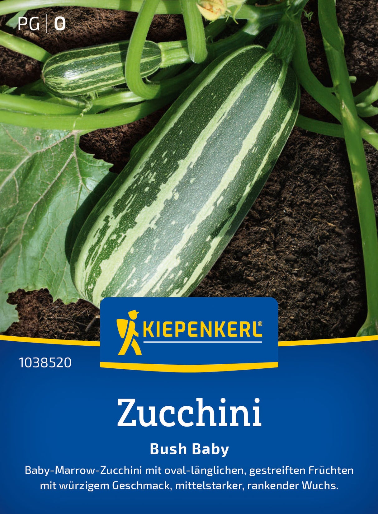 Kiepenkerl Zucchini Bush Baby