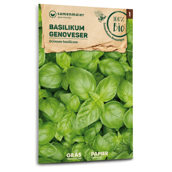 Samen Maier BIO Basilikum Genoveser