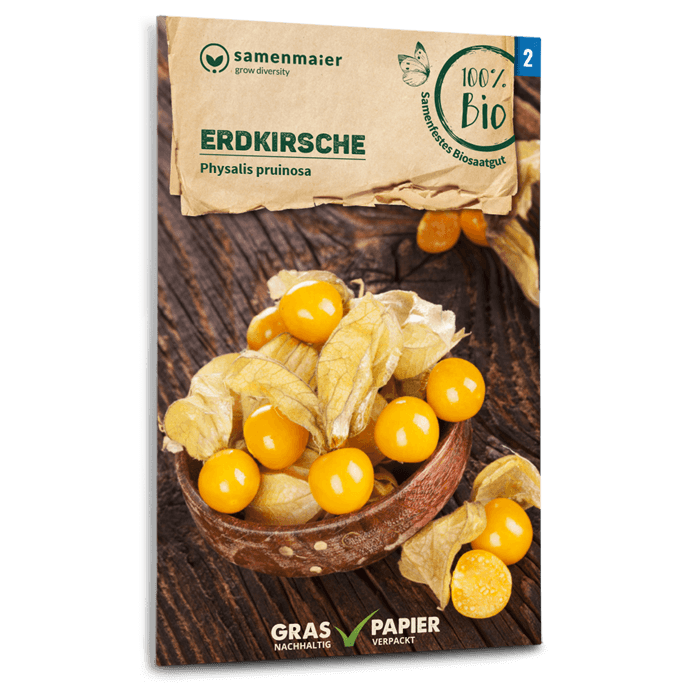 Samen Maier BIO Physalis Erdkirsche