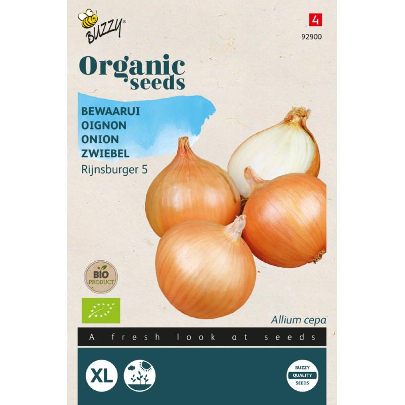 Buzzy Organic Seeds BIO Zwiebel Rijnsburger 5