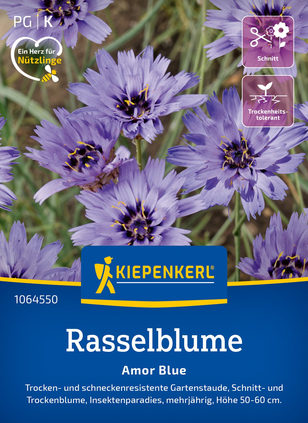 Kiepenkerl Rasselblumensam Amor Blue