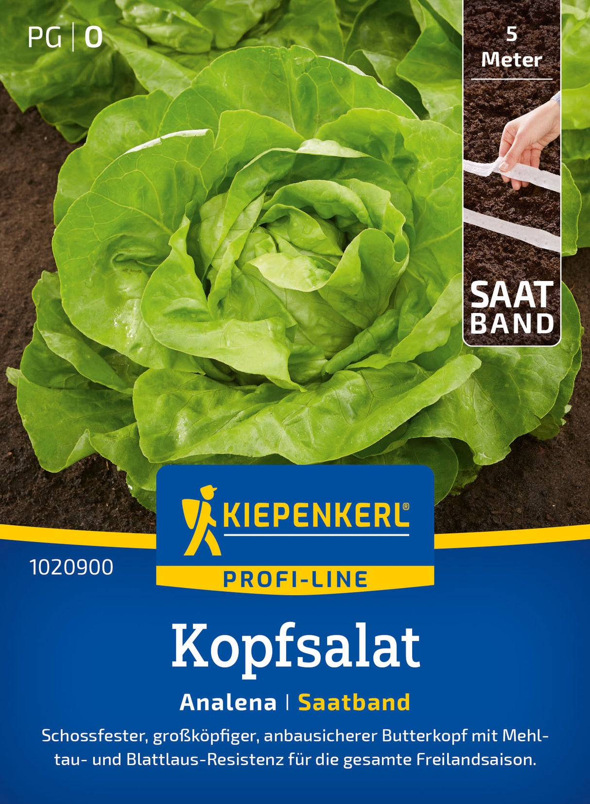 Kiepenkerl Kopfsalat Analena Saatband