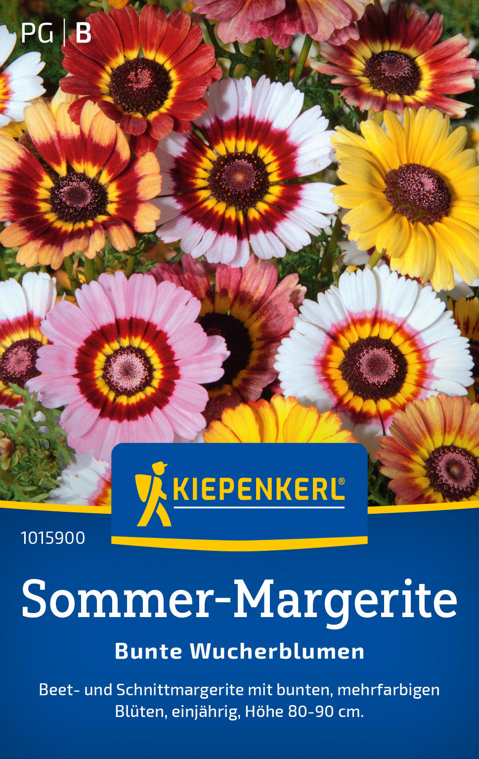 Kiepenkerl Margeriten Bunte Wucherblumen