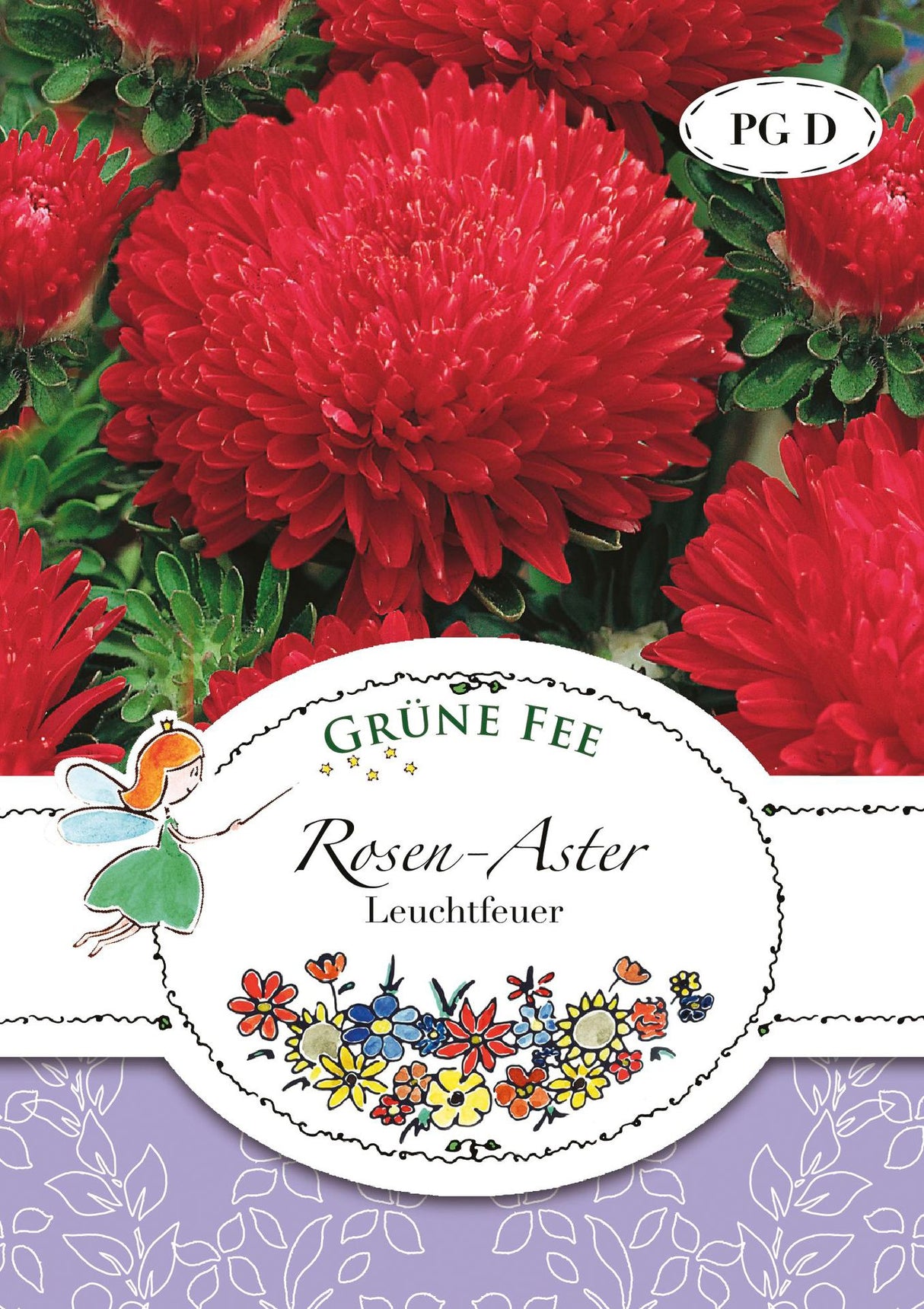 Grüne Fee Rosen-Aster Leuchtfeuer