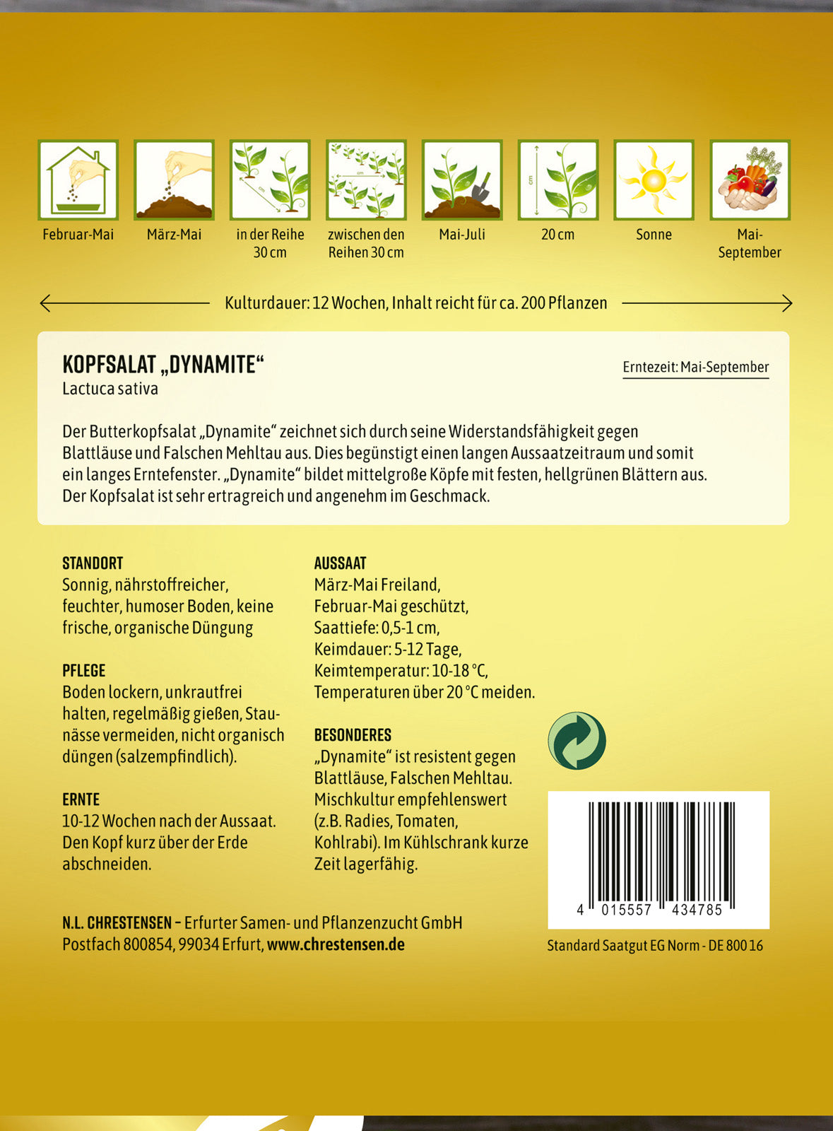 N.L. Chrestensen Kopfsalat Dynamite