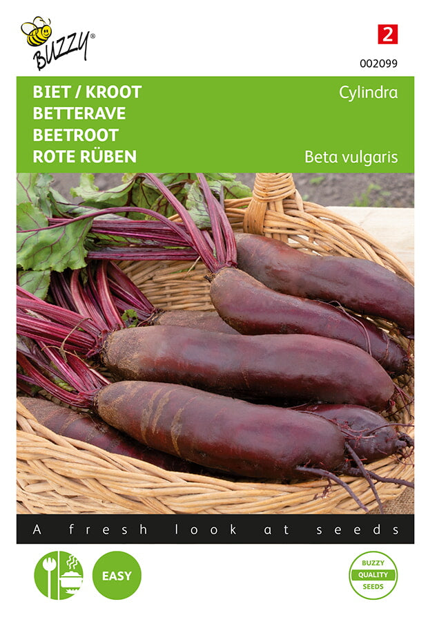 Buzzy Seeds Rote Bete Cylindra Halblange