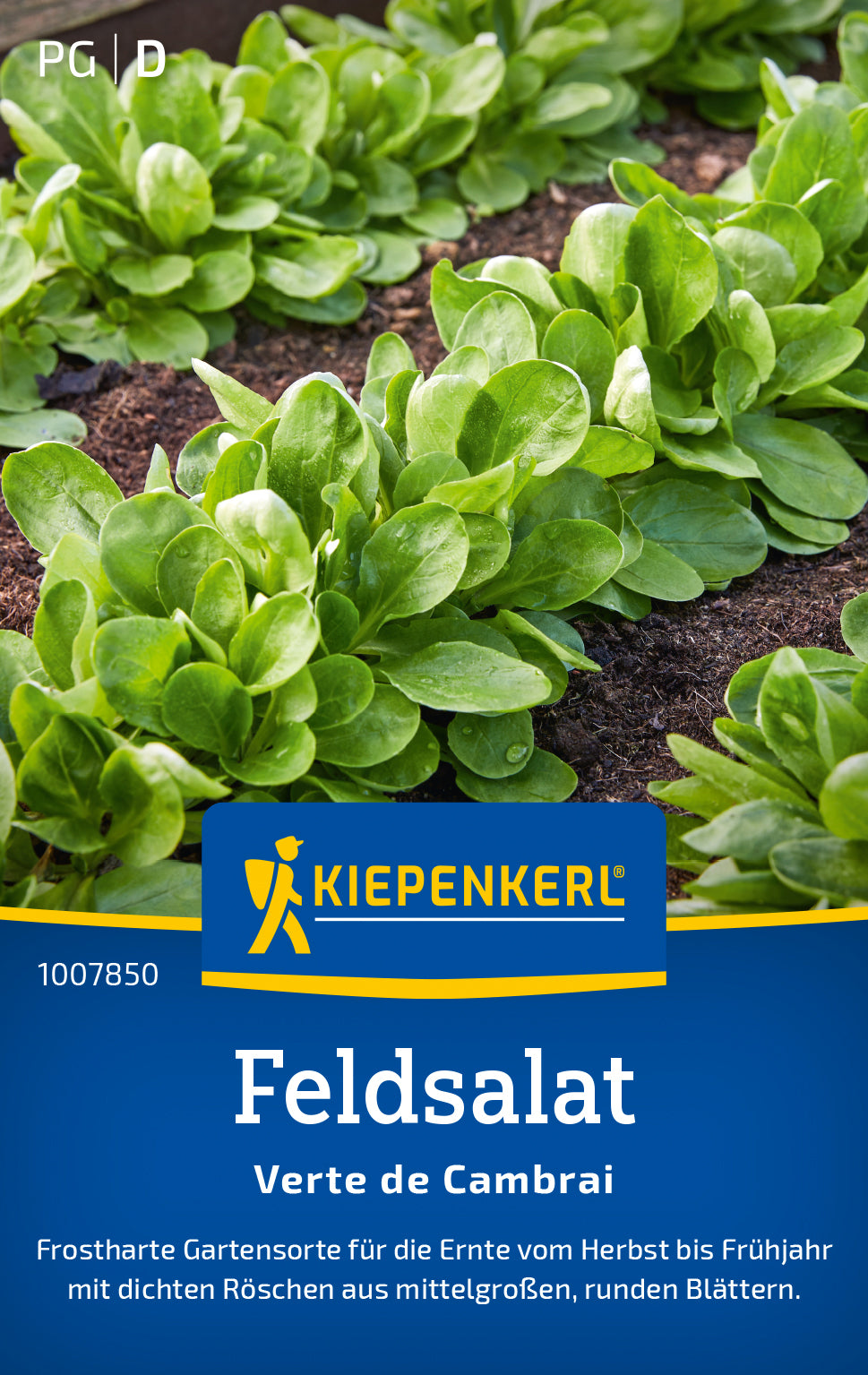 Kiepenkerl Feldsalat Verte de Cambrai