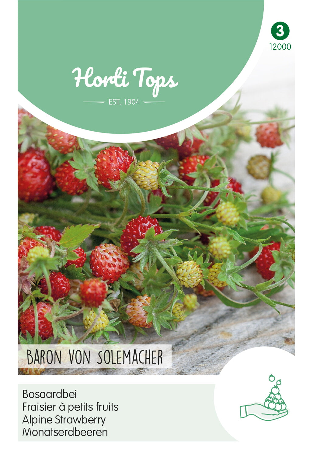 Horti Tops Monatserdbeere Typ Rügen