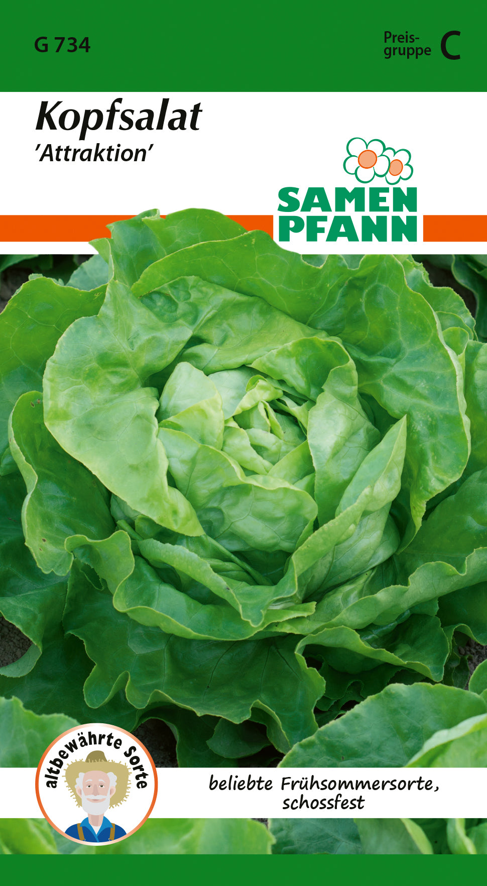 Samen Pfann Kopfsalat Attraktion