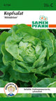 Samen Pfann Kopfsalat Attraktion